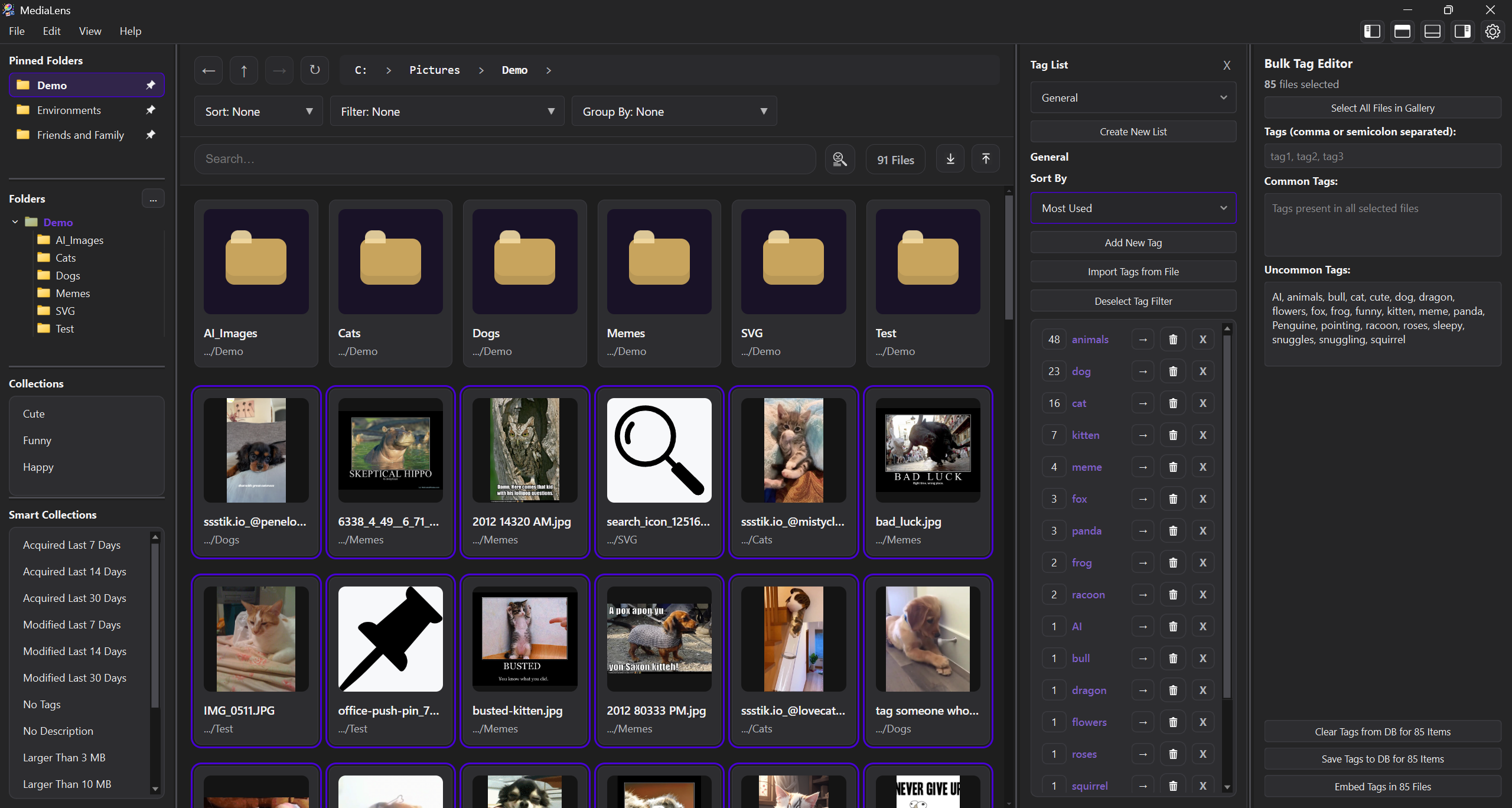 Selected MediaLens product screenshot