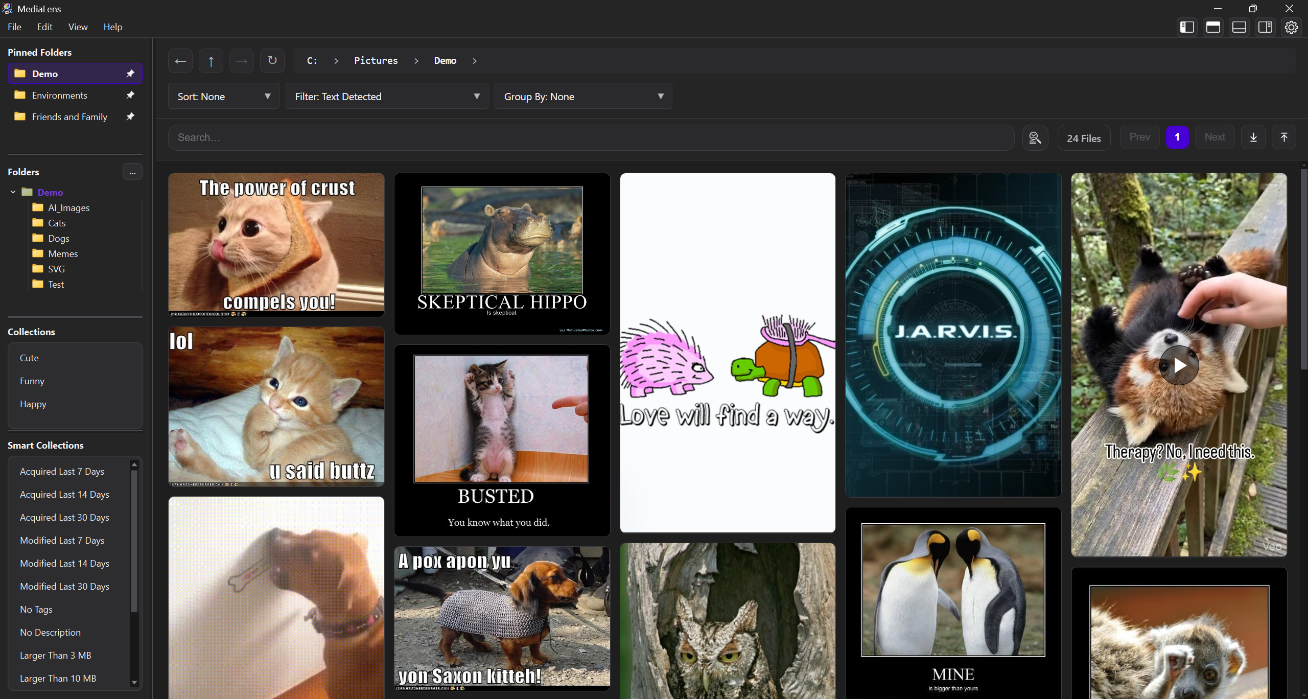 MediaLens masonry gallery with filters and collections